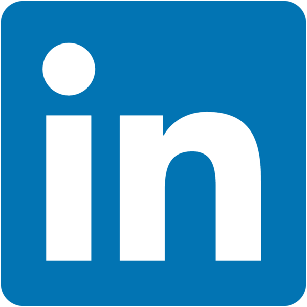 Wortvoller - Maria Darga Linkedin