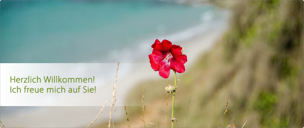 Kontakt: Wortvoller - Content Management Kontakt: Wortvoller - Content Management